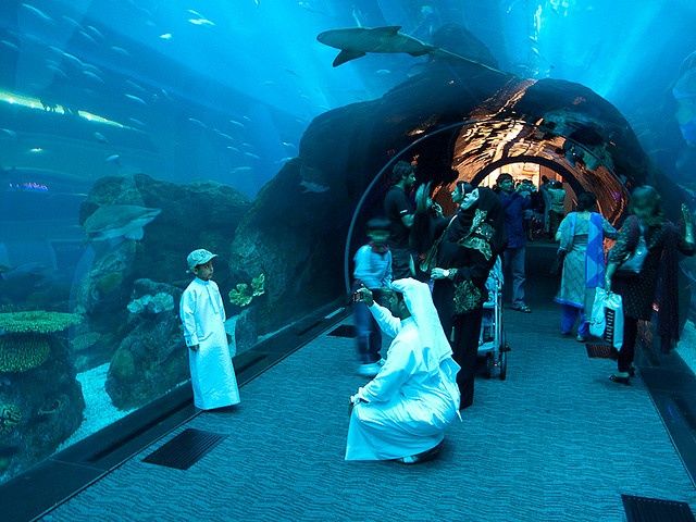 Aquarium Tunnel