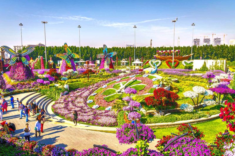 Dubai Miracle Garden