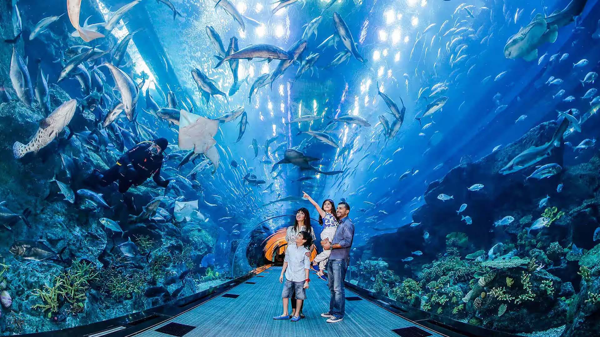 Underwater_Zoo_in_Dubai.jpg